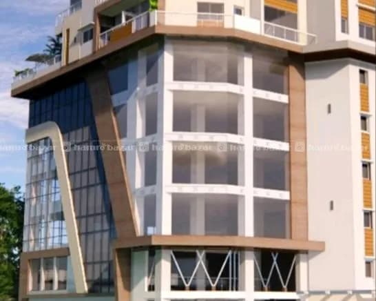 House For Rent @ Dillibazar photo